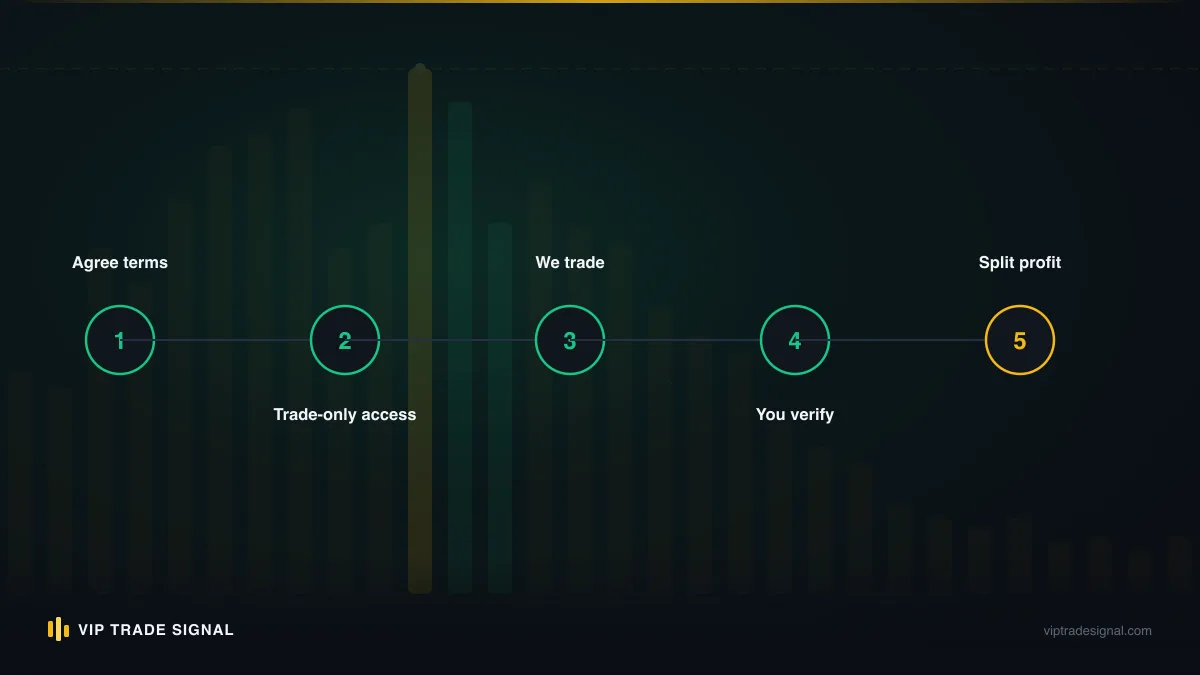 Hiring funnel narrowing from sourced candidates through vetting and interviews to one trader on probation