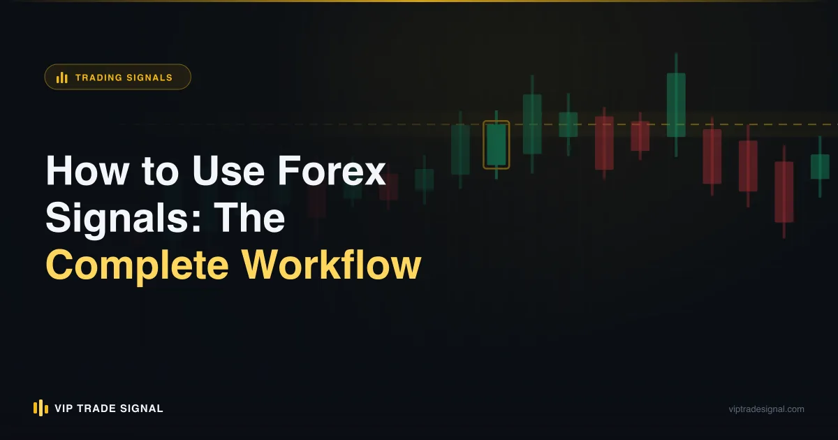 Eight-step circular workflow for executing a forex trading signal from notification to journal