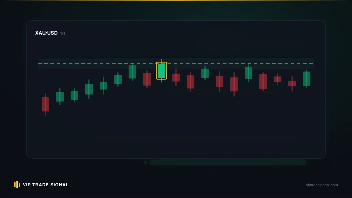 Investor-mode terminal view showing open positions, equity and history tabs