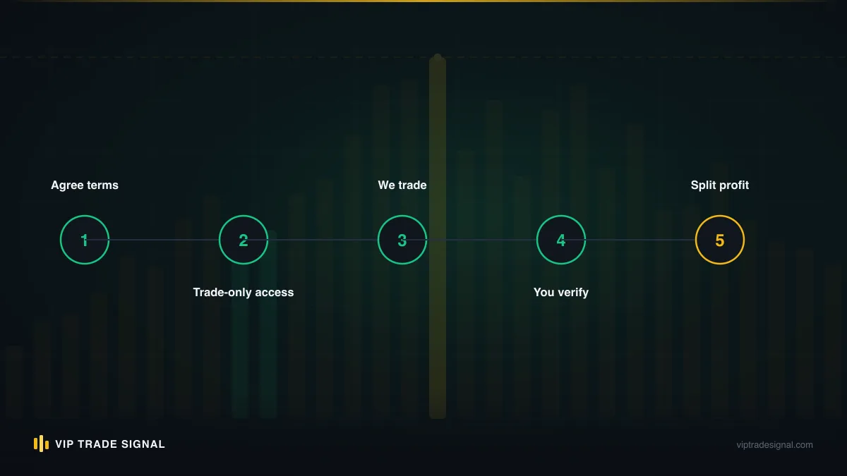 Timeline of the scam cycle from first contact through small win, escalation and exit